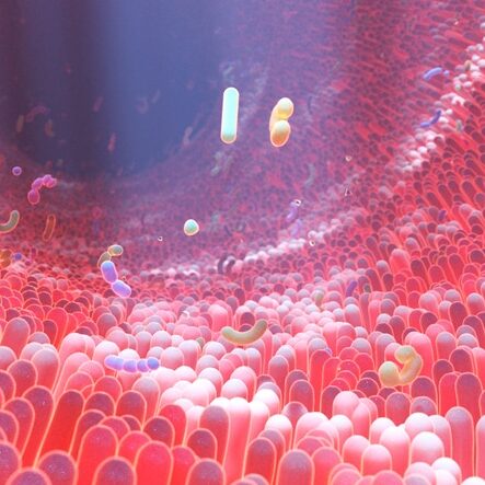 3D rendering of human intestine villi and microbiome