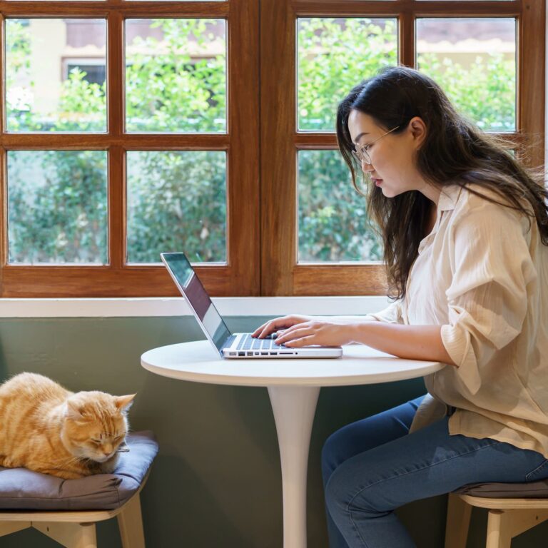 woman working from home with cat. cat asleep on the laptop keyboard. assistant cat working at Laptop.