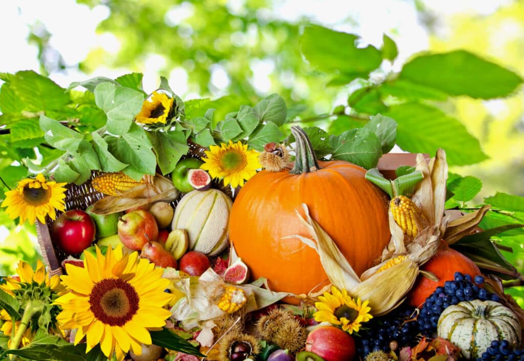fall harvest Home